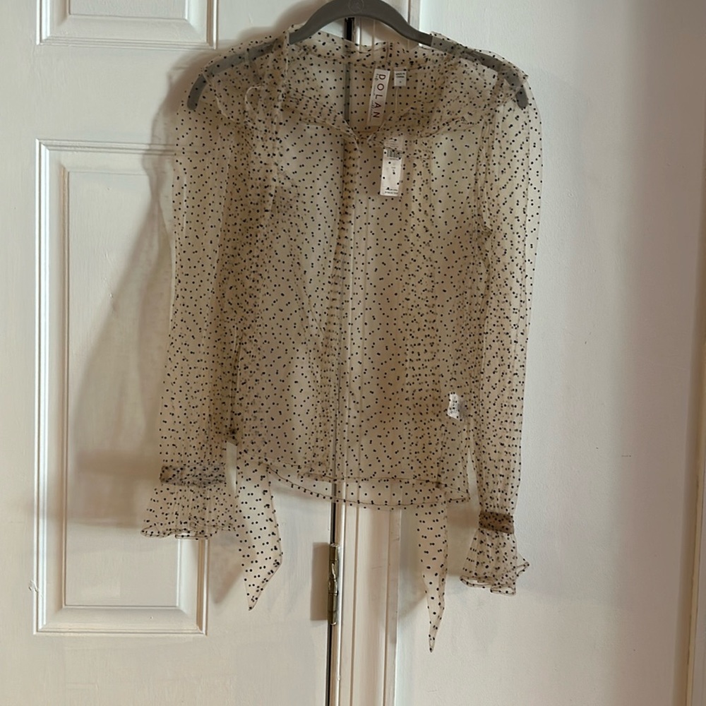 Light, pink, sheer polkadot blouse
